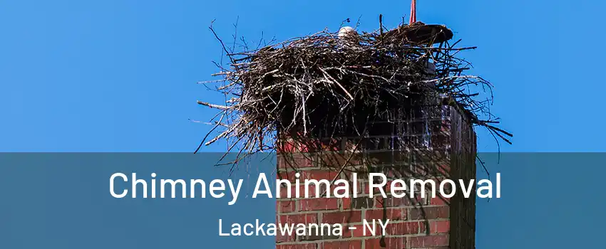  Chimney Animal Removal Lackawanna - NY