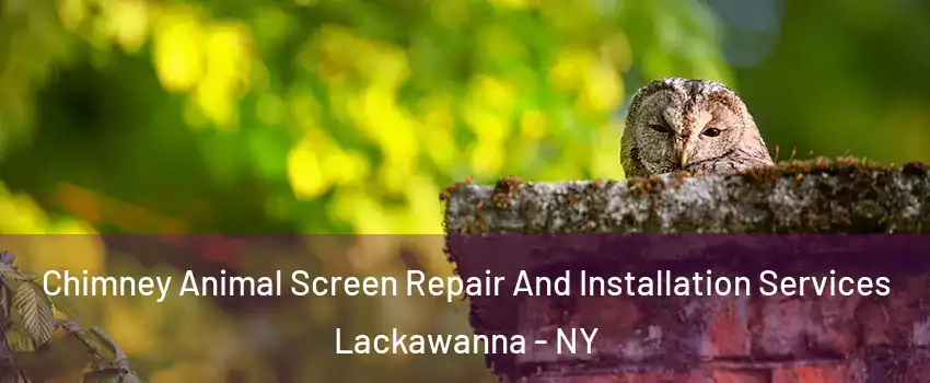  Chimney Animal Screen Repair And Installation Services Lackawanna - NY