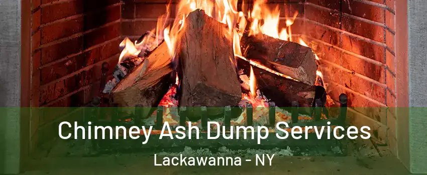  Chimney Ash Dump Services Lackawanna - NY