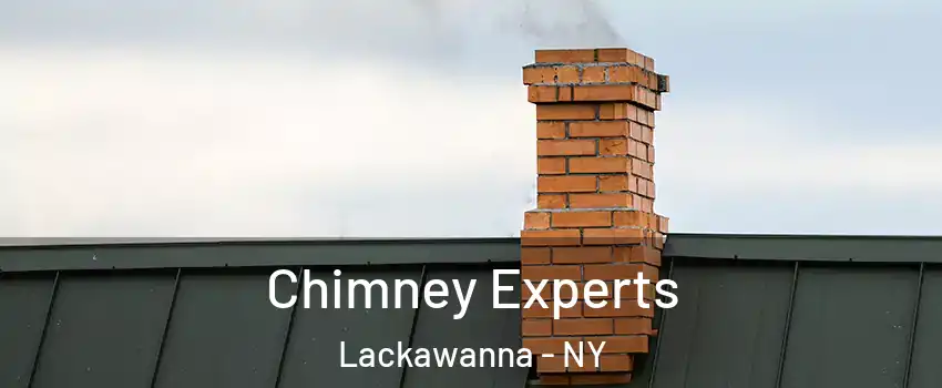 Chimney Experts Lackawanna - NY