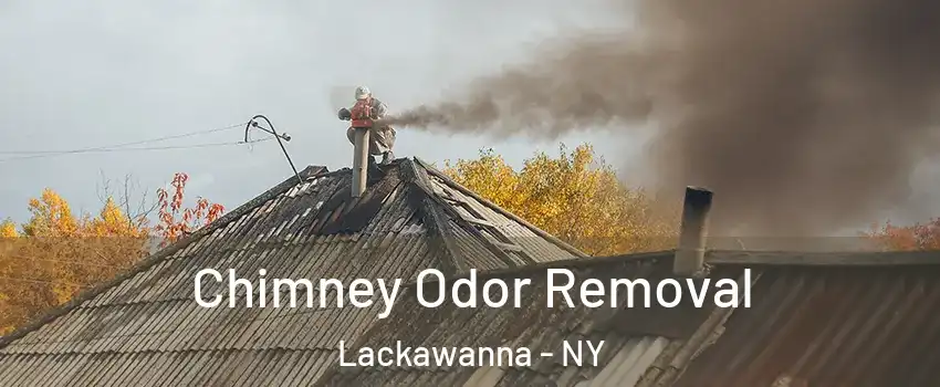  Chimney Odor Removal Lackawanna - NY