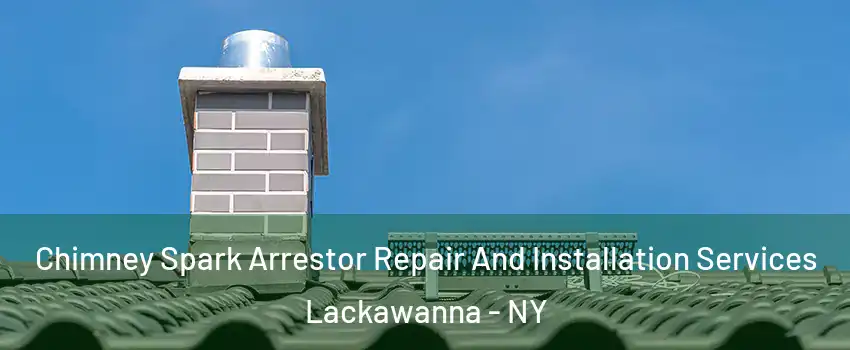  Chimney Spark Arrestor Repair And Installation Services Lackawanna - NY