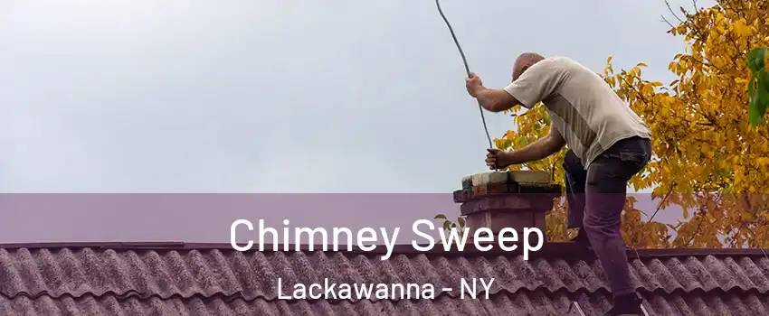  Chimney Sweep Lackawanna - NY