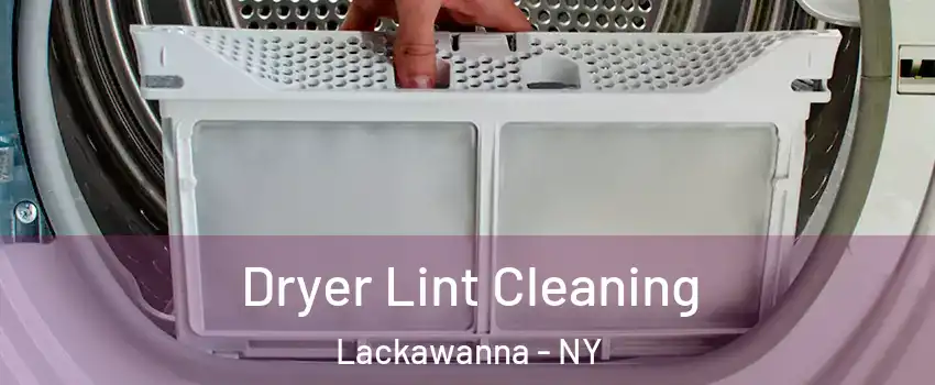  Dryer Lint Cleaning Lackawanna - NY