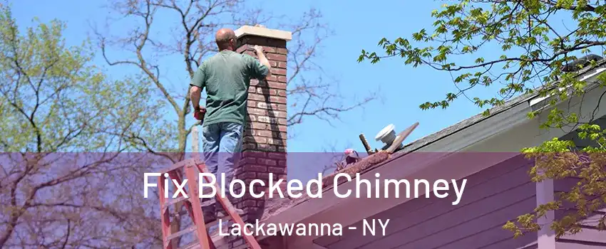  Fix Blocked Chimney Lackawanna - NY