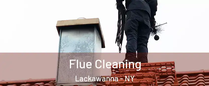  Flue Cleaning Lackawanna - NY