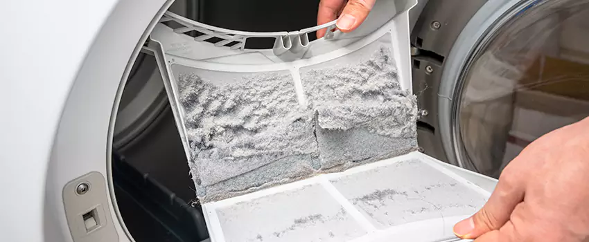 Best Dryer Lint Removal Company in Lackawanna, New York