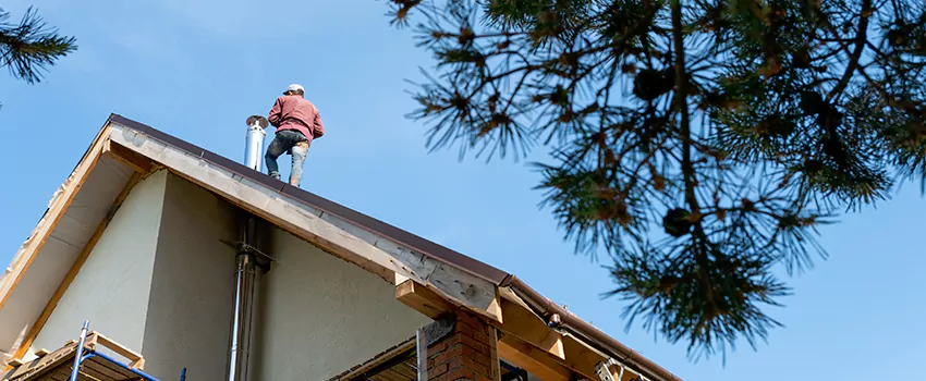 Birds Removal Contractors from Chimney in Lackawanna, NY