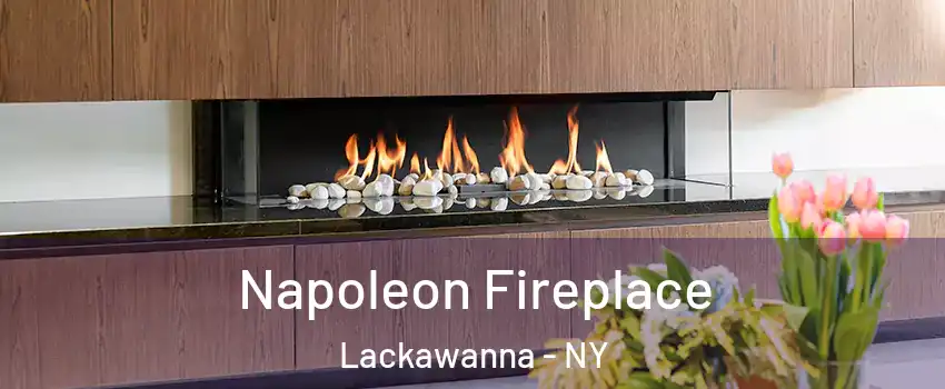  Napoleon Fireplace Lackawanna - NY